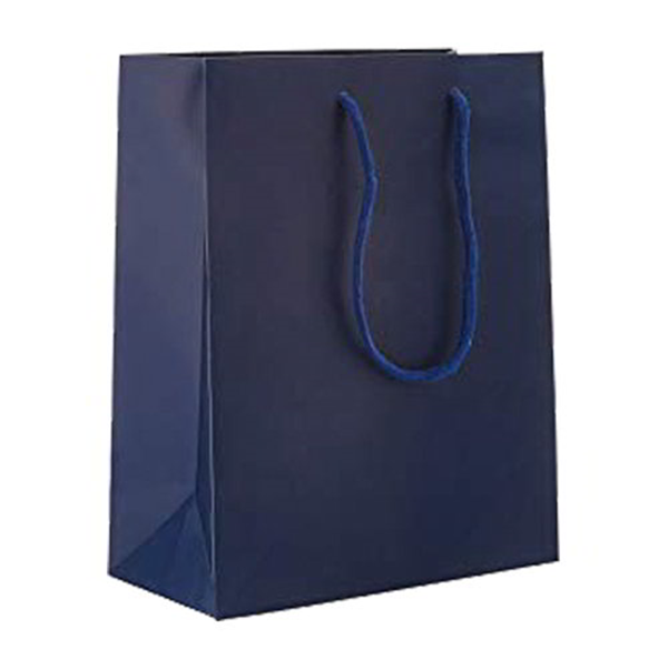 ΣΑΚΟΥΛΑ ΔΩΡΟΥ ΧΑΡΤΙΝΗ ΜΠΛΕ ΜΕ ΚΟΡΔΟΝΙ  33x24x8cm  11896