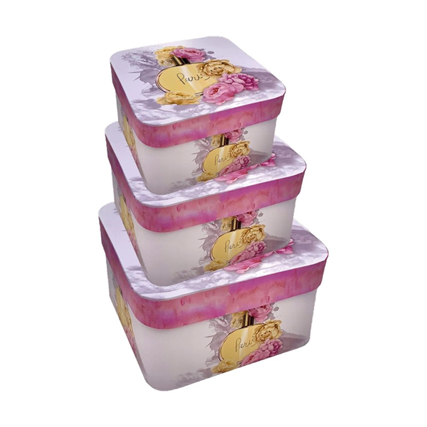 ΚΟΥΤΙ ΔΩΡΟΥ ΤΕΤΡΑΓΩΝΟ ΛΟΥΛΟΥΔΙΑ ΣΕΤ 3 ΤΕΜΑΧΙΩΝ 12542