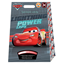 ΣΑΚΟΥΛΑ ΤΥΧΕΡΗ CARS   25Χ35Χ6