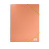 ΝΤΟΣΙΕ ΛΑΣΤΙΧΟ TYPOTRUST A4 P.P (25Χ35cm ΕΞΩΤΕΡΙΚΑ) 6 ΠΑΣΤΕΛ ΧΡΩΜΑΤΑ FP1600