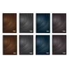 ΤΕΤΡΑΔΙΟ ΣΠΙΡΑΛ SKAG GOLD & SILVER 21X29 A4 ΘΕΜΑΤΑ 3 ΧΑΡΤΙ 80gr 90Φ N9353