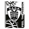 ΤΕΤΡΑΔΙΟ ΣΠΙΡΑΛ 17Χ25 2ΘΕΜ 60Φ  ΠΑΟΚ  2ΣΧ. 000132002 2025