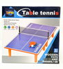 PING-PONG ΞΥΛΙΝΟ ΕΠΙΤΡΑΠΕΖΙΟ 60Χ30Χ10.7CM LUNA 000622997