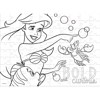 PUZZLE ΧΡΩΜΑΤΙΣΜΟΥ 2 ΟΨΕΩΝ 100ΤΕΜ ARIEL