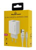 ΦΟΡΤΙΣΤΗΣ ΜΠΡΙΖΑΣ POWERTECH PT-1325 με καλώδιο Lightning, 2x USB, 12W, λευκός