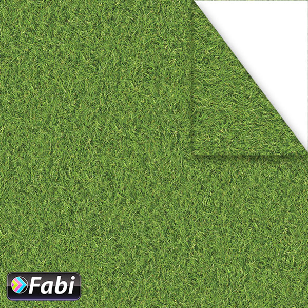 ΧΑΡΤΟΝΙ ΦΩΤΟ FABI ΓΡΑΣΙΔΙ 50X70 1455007
