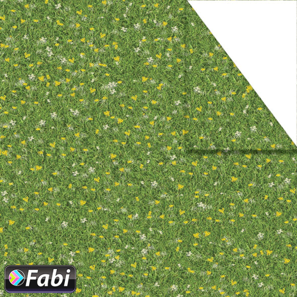 ΧΑΡΤΟΝΙ ΦΩΤΟ FABI ΛΙΒΑΔΙ-ΛΟΥΛΟΥΔΙΑ 50X70 1455008
