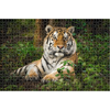 PUZZLE 1000TEM LUNA 73Χ48ΕΚ ANIMAL PLANET ΤΙΓΡΗΣ 000570698 CH-2021
