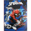 ΝΤΟΣΙΕ ΛΑΣΤΙΧΟ ΠΛΑΣΤΙΚΟ 24Χ32cm SPIDERMAN 337-03515 2022