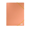 ΝΤΟΣΙΕ ΛΑΣΤΙΧΟ TYPOTRUST A4 P.P (25Χ35cm ΕΞΩΤΕΡΙΚΑ) 6 ΠΑΣΤΕΛ ΧΡΩΜΑΤΑ FP1600