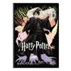 ΤΕΤΡΑΔΙΟ ΣΠΙΡΑΛ SALKO HARRY POTER 17X25 60Φ*120σελ. ΘΕΜΑΤΑ 2 7672