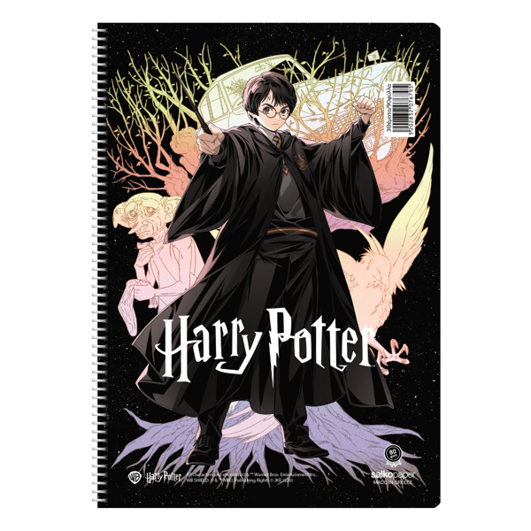 ΤΕΤΡΑΔΙΟ ΣΠΙΡΑΛ SALKO HARRY POTER 17X25 60Φ*120σελ. ΘΕΜΑΤΑ 2 7672