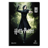 ΤΕΤΡΑΔΙΟ ΣΠΙΡΑΛ SALKO HARRY POTER 17X25 60Φ*120σελ. ΘΕΜΑΤΑ 2 7672
