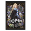 ΤΕΤΡΑΔΙΟ ΚΑΡΦΙΤΣΑ HARRY POTER 17X25 40Φ SALKO 7141