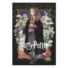 ΤΕΤΡΑΔΙΟ ΚΑΡΦΙΤΣΑ HARRY POTER 17X25 40Φ SALKO 7141