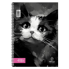 ΤΕΤΡΑΔΙΟ ΣΠΙΡΑΛ MONO SALKO KITTIE 17X25 60Φ ΘΕΜΑΤΑ 2 5802