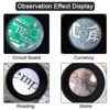 ΜΕΓΕΘΥΝΤΙΚΟΣ ΦΑΚΟΣ ΧΕΙΡΟΣ ΜΕ ΦΩΣ 2 LED SUNSHINE MG6B-1B  Φ21mm, 40x