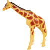 Ζώα Ζούγκλας 12,5εκ. Luna Toys Πλαστικά Σετ 4 τμχ. σε κουτι 11χ14.5χ32εκ. 000623139