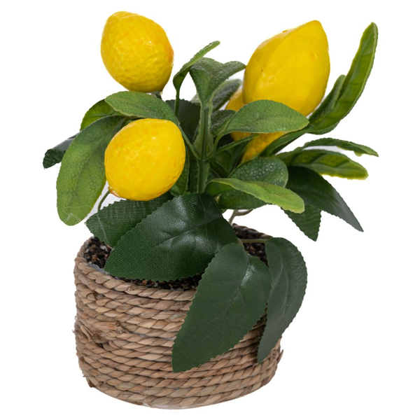 ΓΛΑΣΤΡΑΚΙ  ΜΕ ΛΕΜΟΝΙΑ 16cm 93006