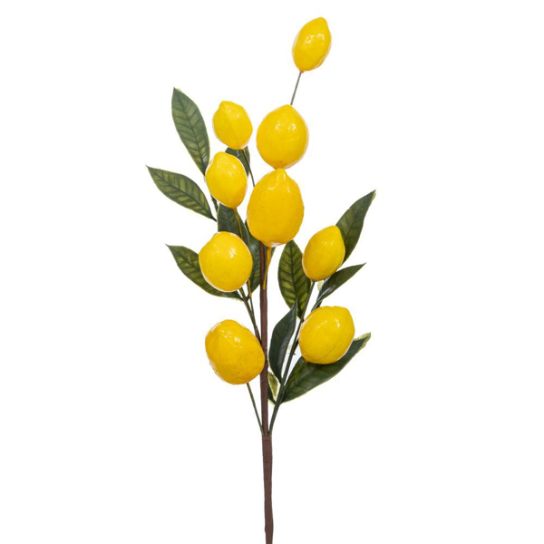 ΚΛΑΔΙ ΜΕ ΛΕΜΟΝΙΑ 60cm 93004