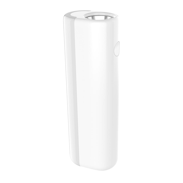ΦΑΚΟΣ PLATINET TORCH FLASHLIGHT 4W WHITE