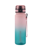 ΠΑΓΟΥΡΙ 500ML ALPINTEC ΠΑΙΔΙΚΑ ΣΧΕΔΙΑ C500 6.5X23cm TRITAN-BPA FREE